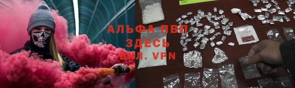 винт Тавда