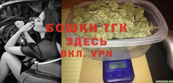дурь Сясьстрой