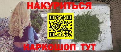 стаф Гай