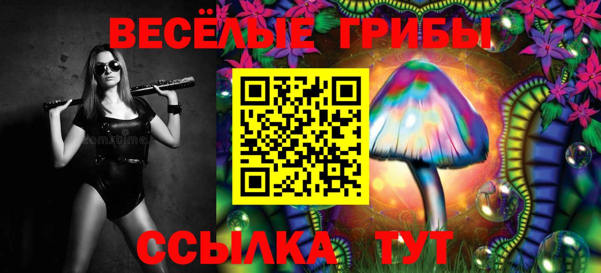 купить наркоту  Галлюциногенные грибы мицелий  Вход с VPN  Псилоцибиновые грибы Psilocybine cubensis  Губкин 
