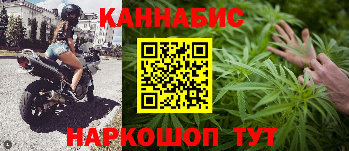 Шишки марихуана тримм Губкин